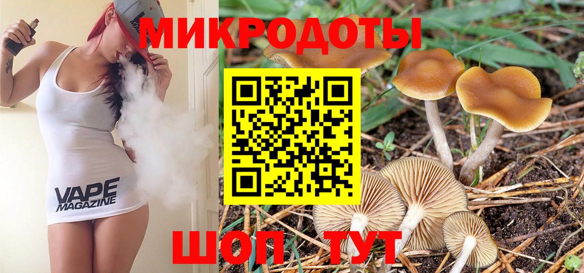 Галлюциногенные грибы Psilocybine cubensis Первоуральск